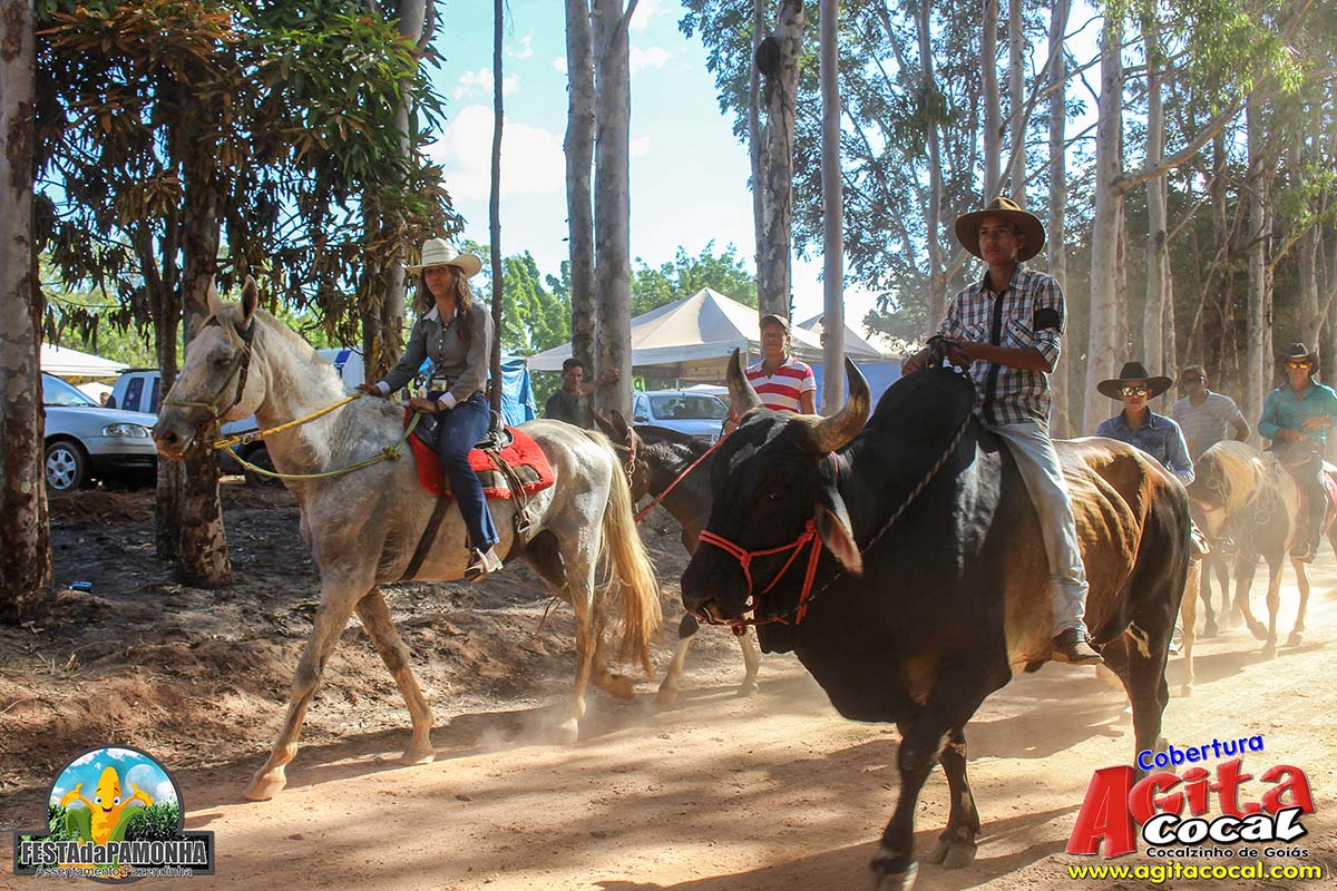 Festa da Pamonha (3 Dia)